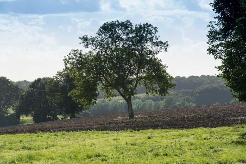 The Stables, Relax In 5 Star Style And Comfort With Lovely Walks All Around Maplestead Eksteriør billede
